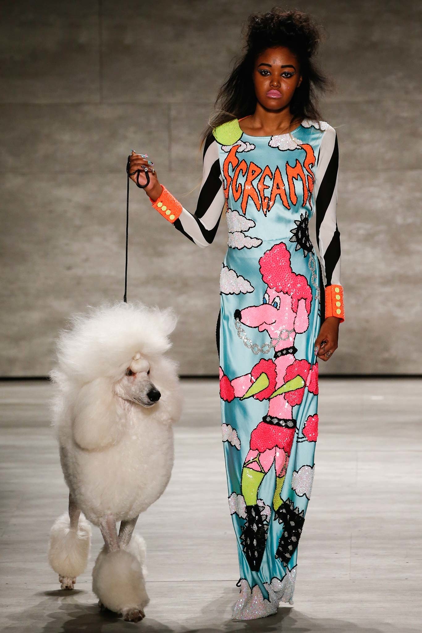 VFiles FW15